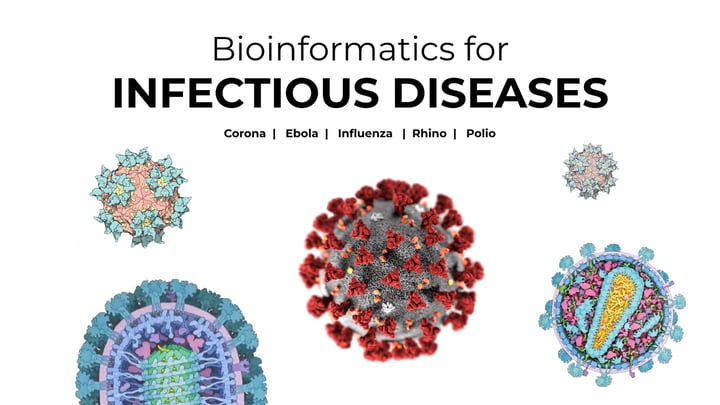 COVID19, Ebola, Malaria. Can bioinformatics help us fight them?