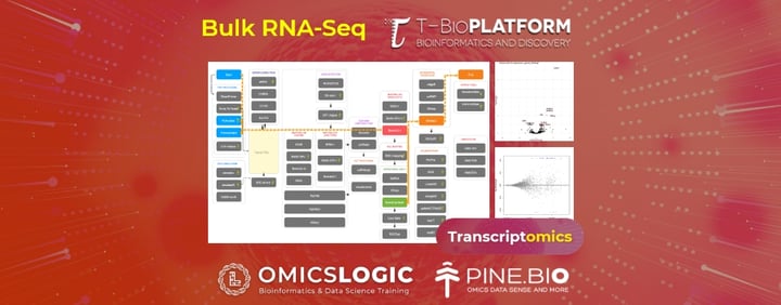 Bulk RNA-Seq on T-Bioinfo Server