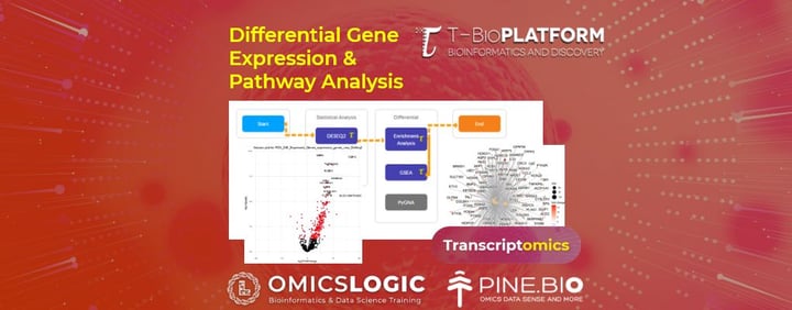 Differential Gene Expression & Pathway Analysis on T-Bioinfo Server