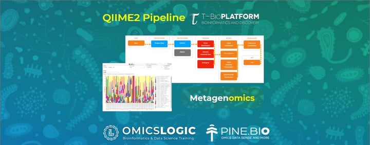 QIIME2 Pipeline on T-Bioinfo Server