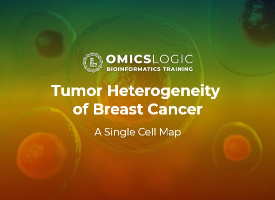 Tumor Heterogeneity of Breast Cancer: A Single Cell Map