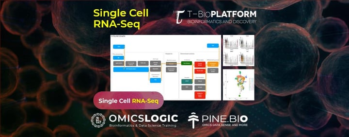 Single Cell RNA-Seq on T-Bioinfo Server