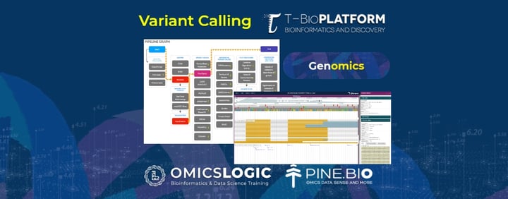 Variant Calling: Somatic & Germline on T-Bioinfo Server