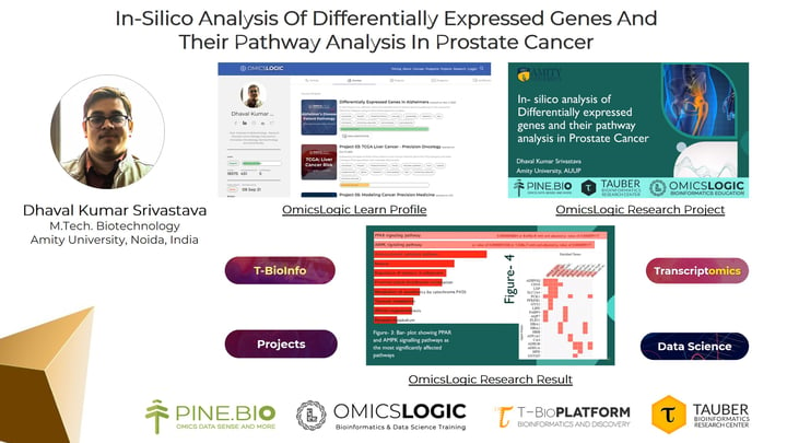 In-Silico Analysis Of Differentially Expressed Genes And Their Pathway Analysis In Prostate Cancer